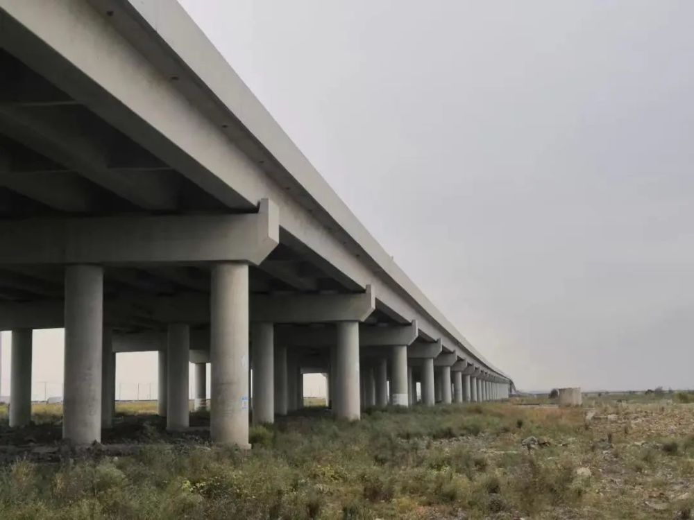 點贊！浙江省科學技術進步獎二等獎花落公路工程建筑領域